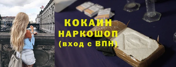 индика Надым