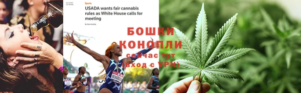 индика Надым