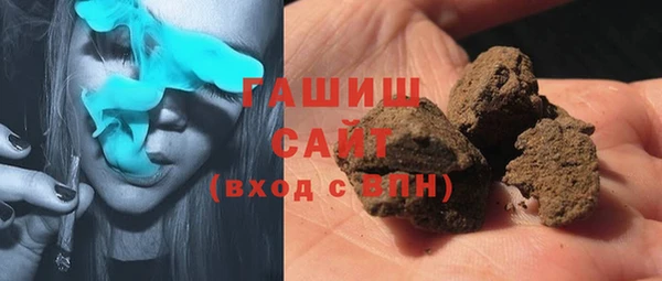 индика Надым