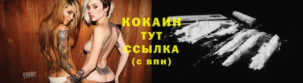 крисы Наволоки