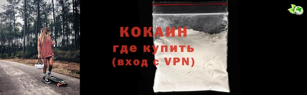 индика Надым