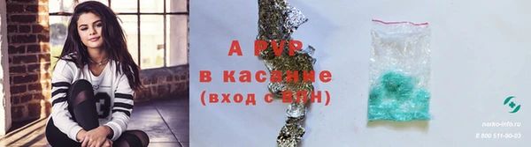 индика Надым