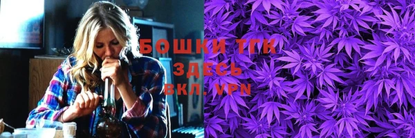 индика Надым