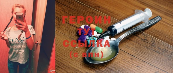 индика Надым
