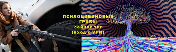 индика Надым